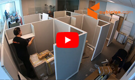 Royal Palm Companies